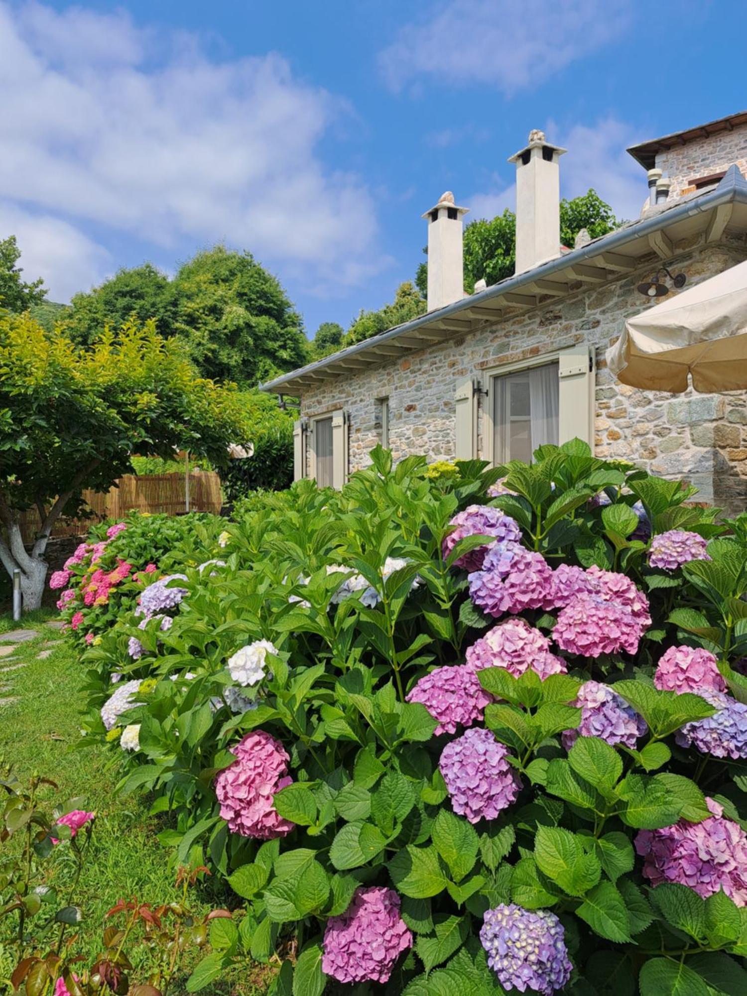 Amanita Boutique Hotel Tsagarada Exterior photo